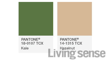 2017 Spring Color Trend For Interior
