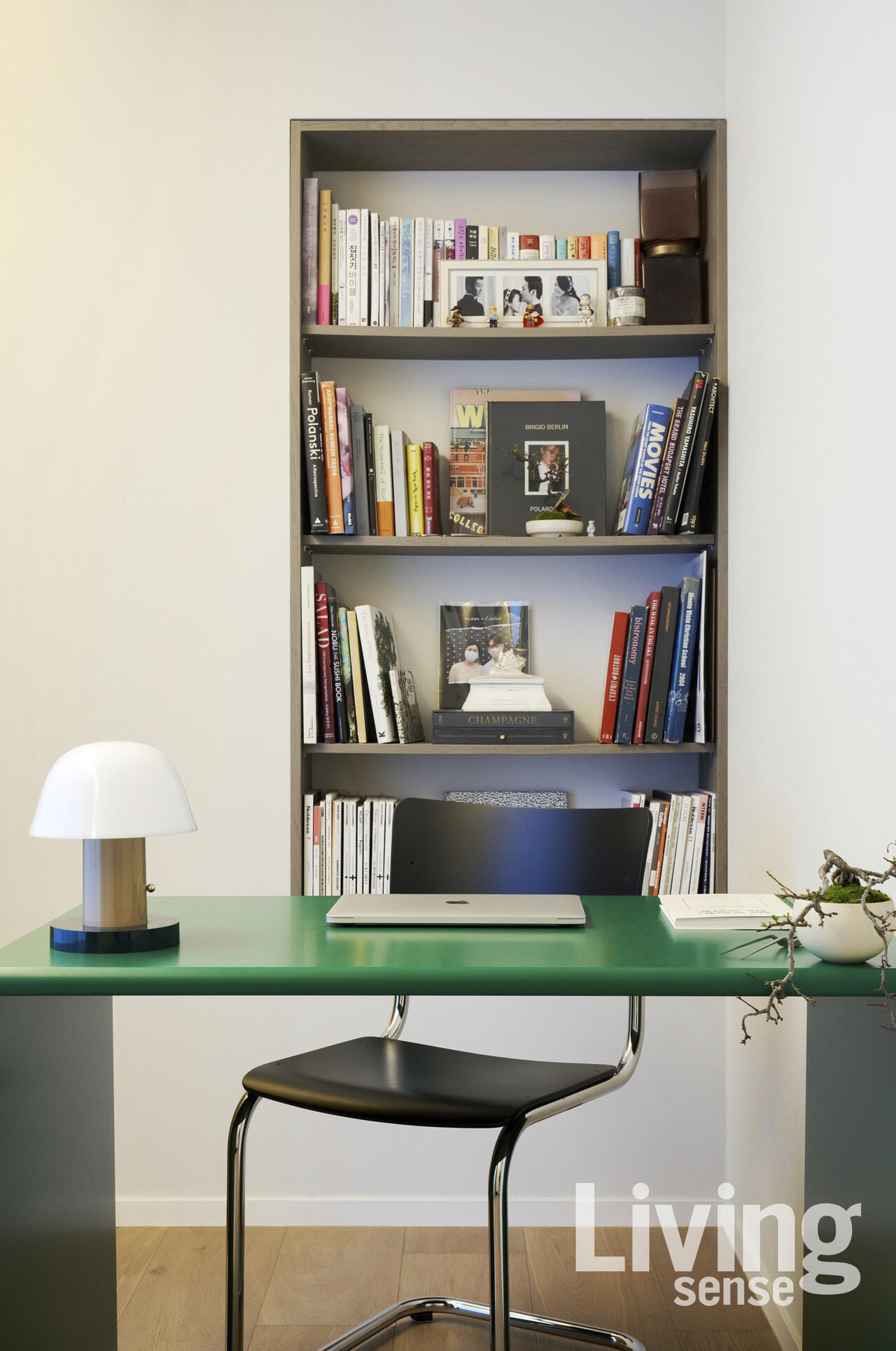 그린 컬러의 몬타나 몬테레이 책상과 분재로 싱그러운 느낌을 연출한 서재.