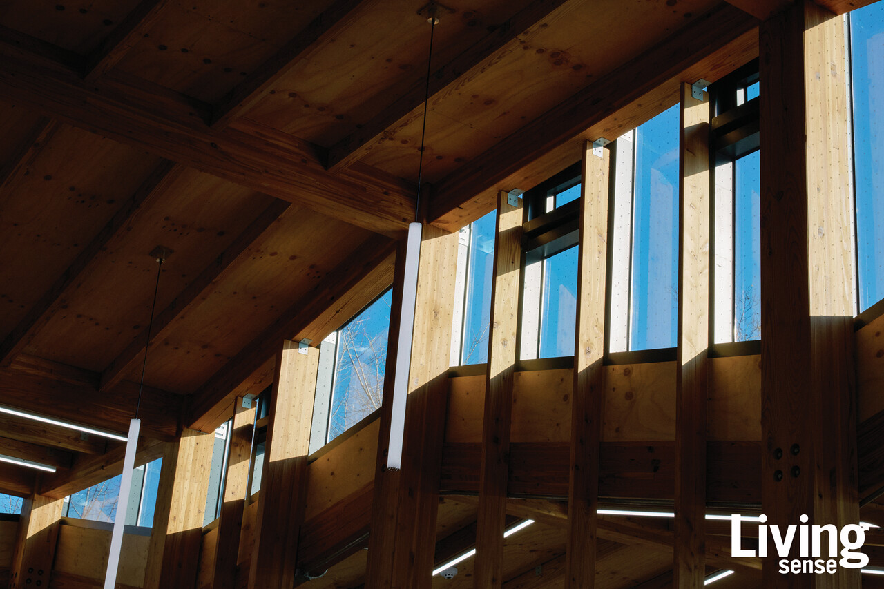 �ѱ� ����翡 �ڽ��� �̸��� ���´ٸ�, ���׷����� �ұ��ϰ� �ƹ氡�������� ������ �õ��ߴ� �̡��� ���ǰ� �ʹٰ� ���ϴ� ������ ����. ���� �������� �������� ���๰�� �����ϴٴ� ���� �û��ϱ⵵ �Ѵ�. �׷��⿡ ������ �̸��� �� �� ���� �ʰڳĴ� ������, ���۽��, �����ϴ� ����� �������?����� �̼ҷ� ���ϴ� ���డ. �׷����� �������� �̷��� ������ �þƾ� ���� ������?