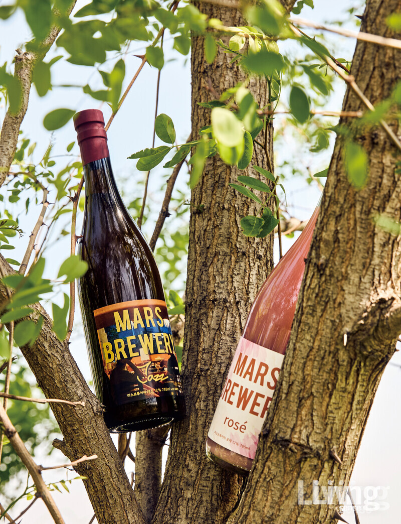 마스브루어리의 ‘재즈’와 ‘로제’. 맛의 복합적인 레이어가 깊은 인상을 남긴다.