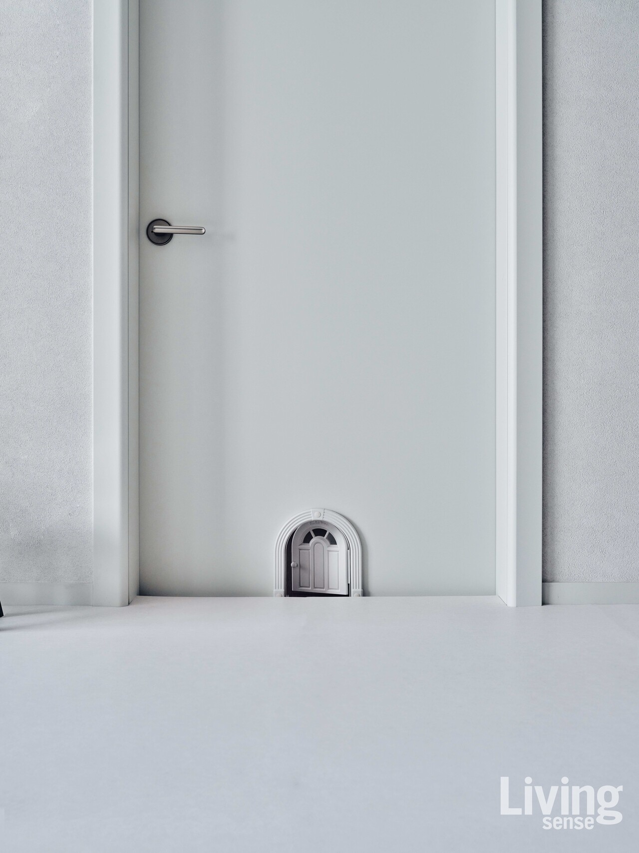 고양이를 위해 벽 한쪽에 낸 작은 문도 이 집만의 다정한 디테일.