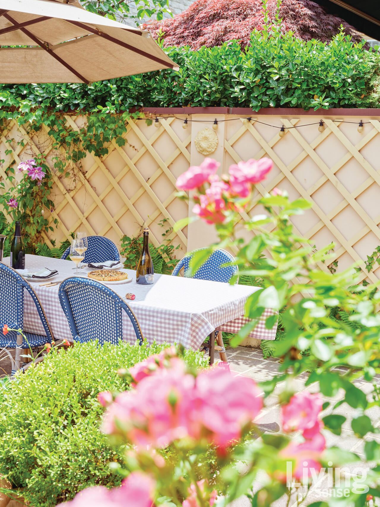 좋은 사람들과 맛있는 음식, 샴페인을 즐기는 정원.