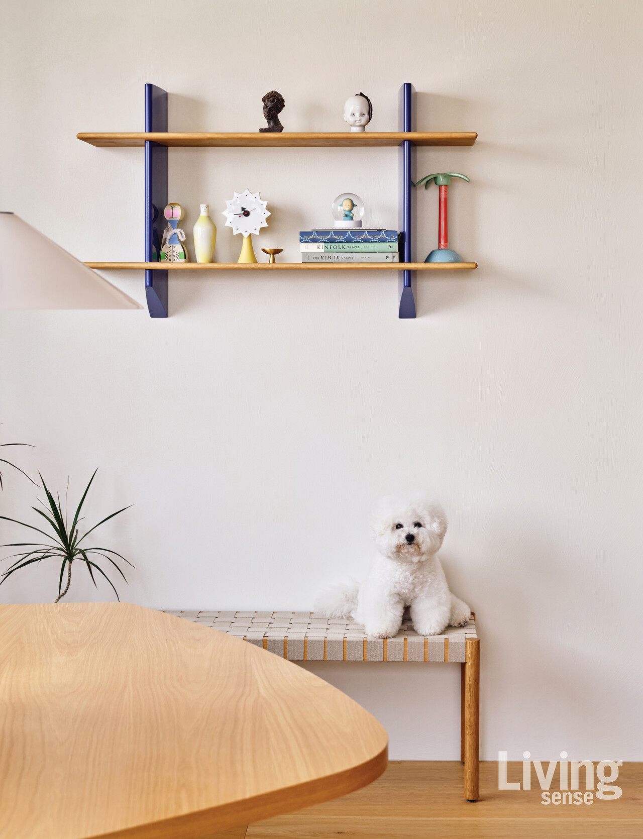 홈 오피스 한쪽에 앉아 있는 최안순 대표의 반려견, 테리. ‘껌딱지’처럼 그녀 곁을 지킨다. 이곳에는 비트라Vitra의 레이온네이지 무랄Rayonnage Mural 선반과 앤트레디션&Tradition의 베티Betty 벤치를 두었다.