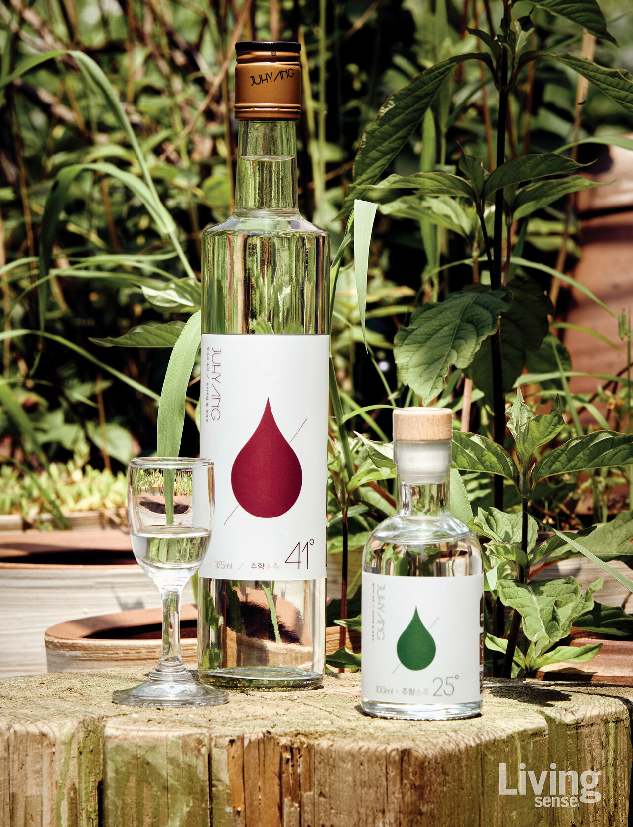 ‘주향소주’ 41도와 25도.