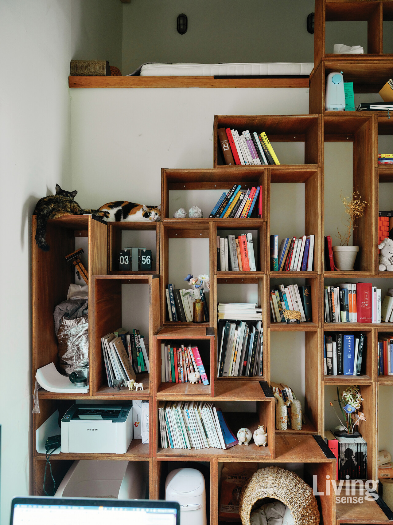 서재의 책장은 고양이들이 오르내릴 수 있도록 계단형으로 만들었다. 그 위 다락은 부부가 휴식을 취하는 아늑한 은신처.