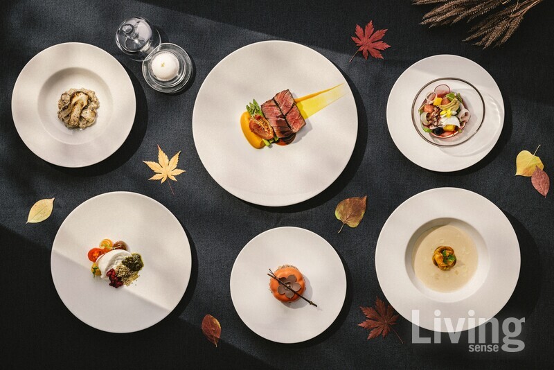 카시아 속초 포고