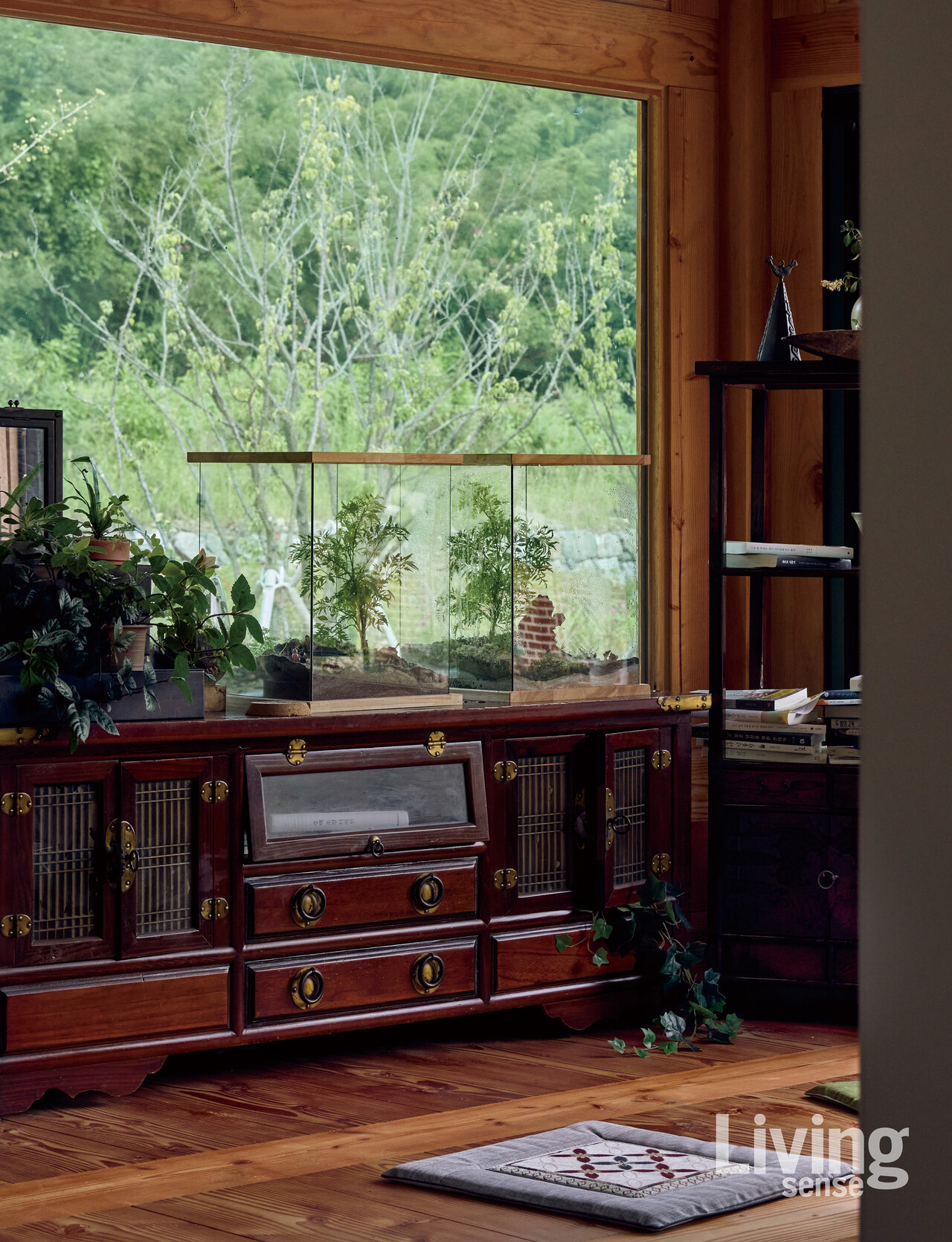 수풀재한옥쉼터에서는 MBTI별 추천 식물, 정원 꾸미기 아이디어와 반려식물 전용 가전까지 만나볼 수 있다.