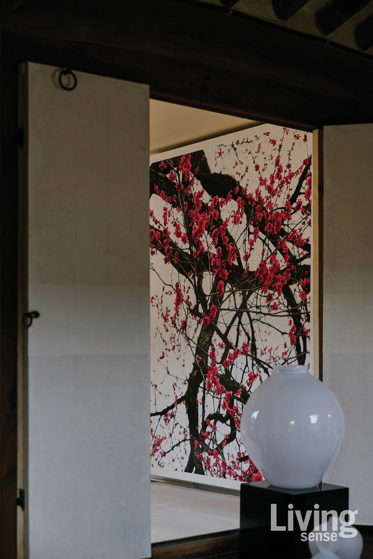 창덕궁에서 특히나 잘 어울리는 ‘매화는 늙어야 합니다’ 시리즈.