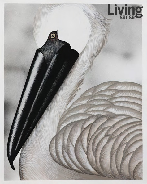 Julie Curtiss, ‘Pelican’, 2024, Gouache on paper, 48.3×38.4cm ©Julie Curtiss